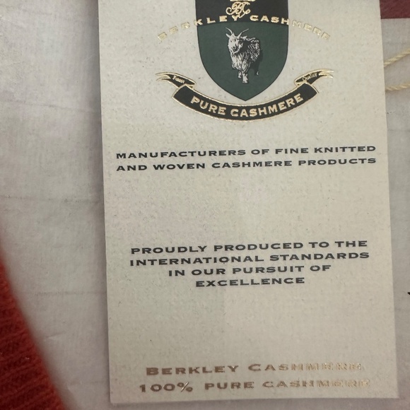 Berkeley Cashmere Men's Long-Sleeved V-Neck Sweater - Picture 2 of 3